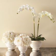 Load image into Gallery viewer, Siena Cream Gold Vase