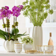 Load image into Gallery viewer, Mirabelle Cream Tall Vase